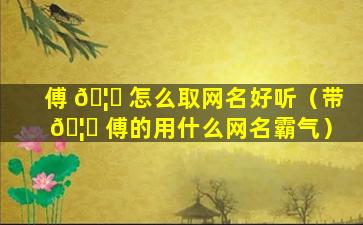 傅 🦅 怎么取网名好听（带 🦟 傅的用什么网名霸气）